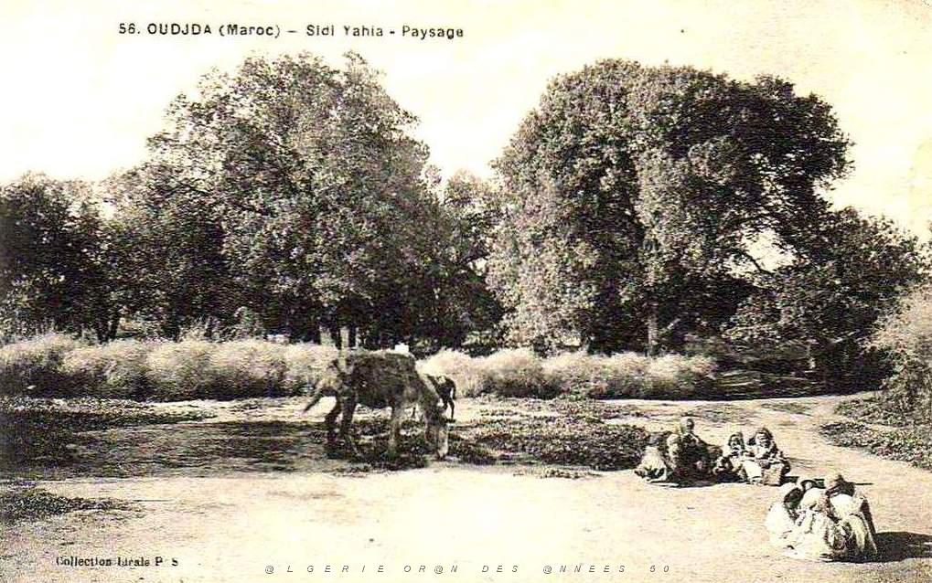 BIVEN Georges - 243- Oujda.jpg